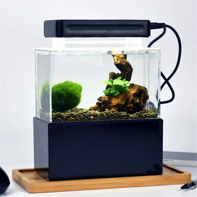 Tucker Murphy™ Pet 2 Gallon Aquarium Kit FreeStanding Ecological Fish